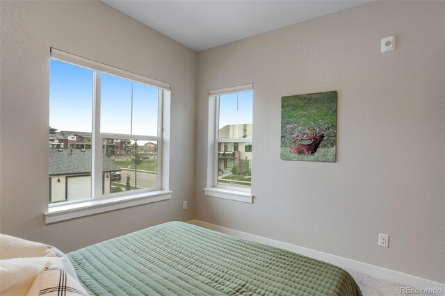 820 Schlagel St Unit 8, Fort Collins, CO 80524 - photo 29