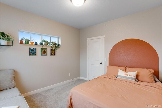 820 Schlagel St Unit 8, Fort Collins, CO 80524 - photo 30