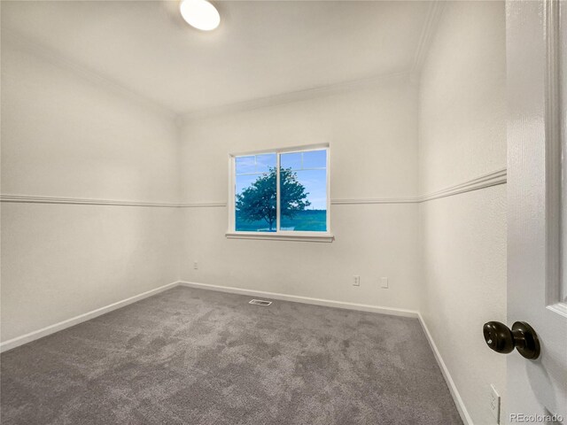 walk in closet with carpet floors