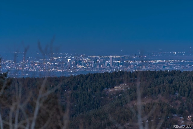 property view of mountains with a forest view
