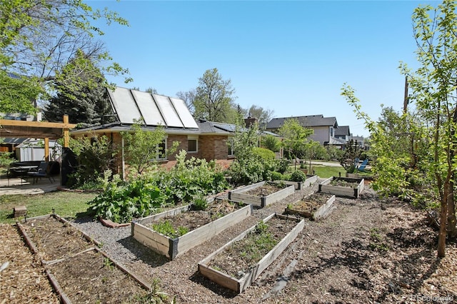 view of yard featuring a vegetable garden and a patio