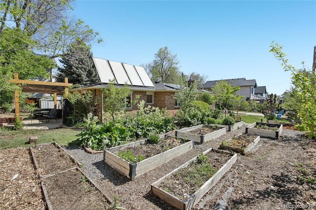 view of yard with a patio area and a garden