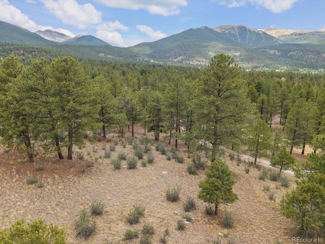 30930 W Rdg, Buena Vista, CO 81211 - photo 43