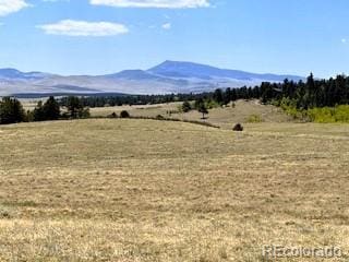 7493 Ranch Rd, Hartsel, CO 80449