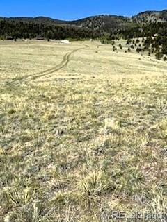 7493 Ranch Rd, Hartsel, CO 80449