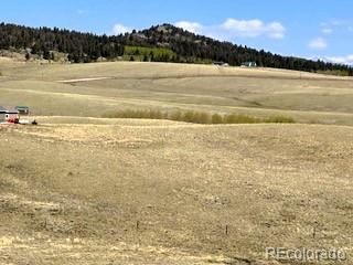 7493 Ranch Rd, Hartsel, CO 80449