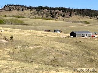 7493 Ranch Rd, Hartsel, CO 80449