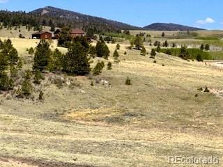 7493 Ranch Rd, Hartsel, CO 80449