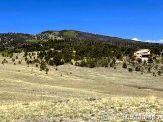 7493 Ranch Rd, Hartsel, CO 80449