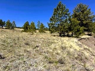 7493 Ranch Rd, Hartsel, CO 80449