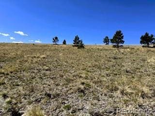 7493 Ranch Rd, Hartsel, CO 80449
