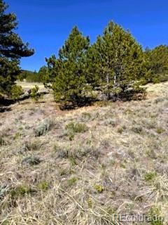 7493 Ranch Rd, Hartsel, CO 80449