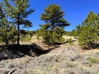 7493 Ranch Rd, Hartsel, CO 80449