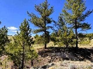 7493 Ranch Rd, Hartsel, CO 80449