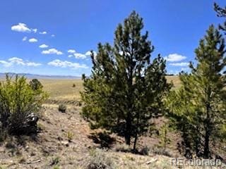 7493 Ranch Rd, Hartsel, CO 80449