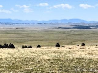 7493 Ranch Rd, Hartsel, CO 80449