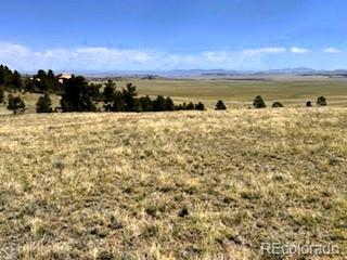 7493 Ranch Rd, Hartsel, CO 80449
