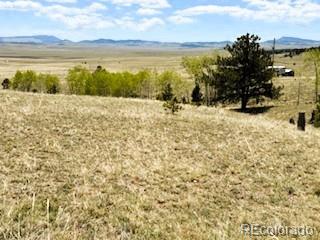 7493 Ranch Rd, Hartsel, CO 80449