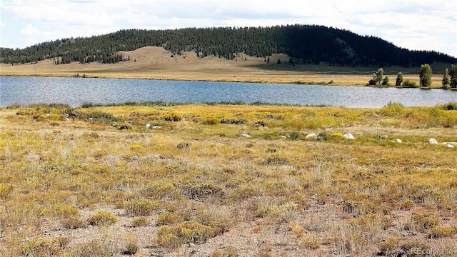 7493 Ranch Rd, Hartsel, CO 80449