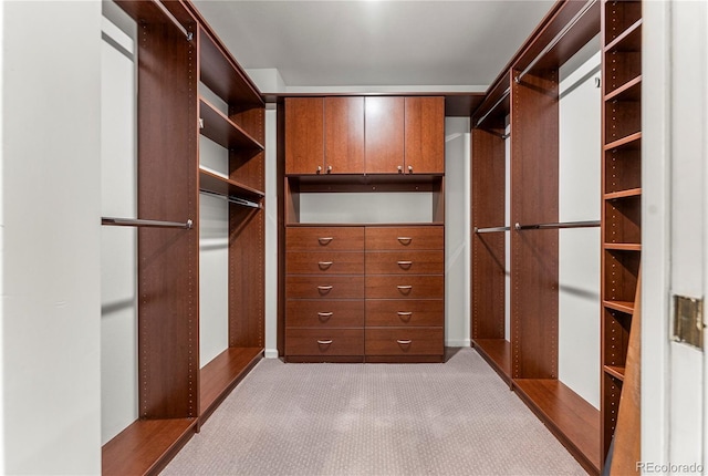 spacious closet with light colored carpet