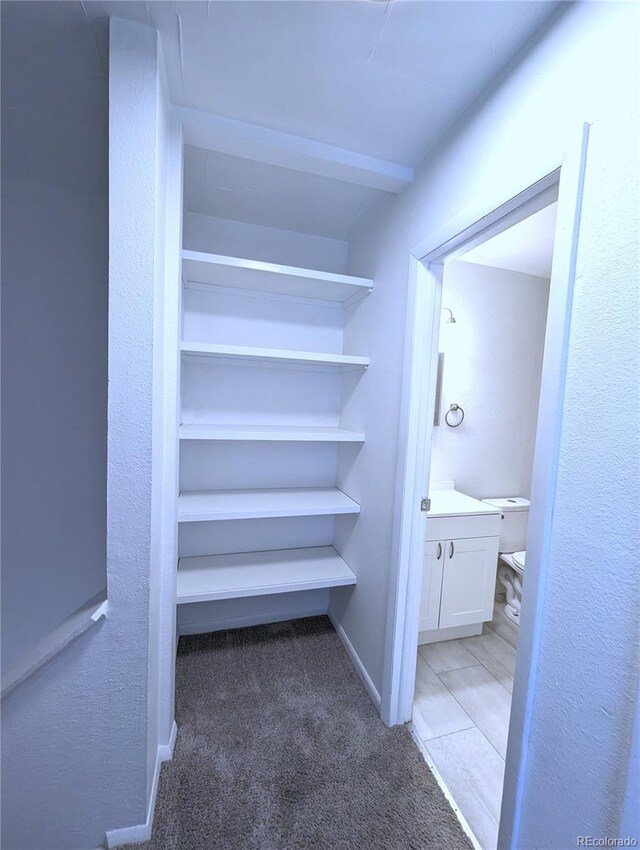 921 Mt Massive Dr Unit 25, Leadville, CO 80461 - view of closet