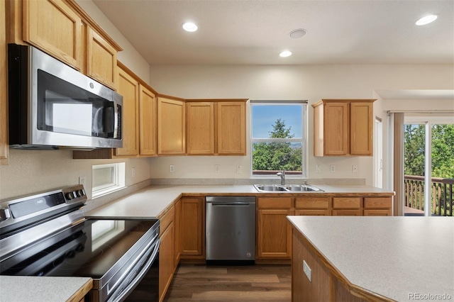 4839 Spotted Horse Dr, Colorado Springs, CO 80923 - kitchen with stainless steel appliances, plenty of natural light, recessed lighting, and light countertops