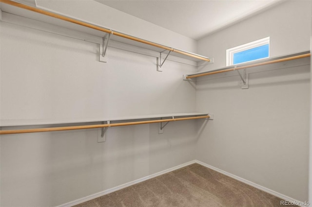 4839 Spotted Horse Dr, Colorado Springs, CO 80923 - walk in closet with carpet