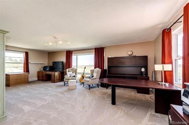 40547 Gold Nugget Dr, Deer Trail, CO 80105 - photo 18