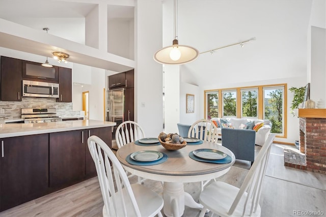 7350 Timber Trail Rd, Evergreen, CO 80439 - dining room featuring high vaulted ceiling, rail lighting, and light wood-style floors