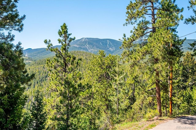 7350 Timber Trail Rd, Evergreen, CO 80439 - mountain view featuring a heavily wooded area
