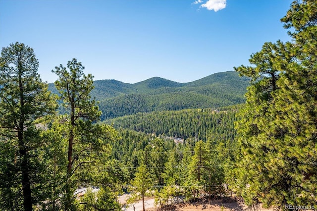 7350 Timber Trail Rd, Evergreen, CO 80439 - view of mountain background with a heavily wooded area