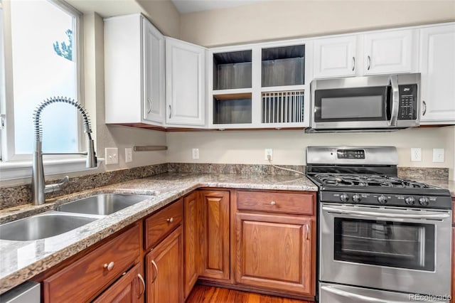 12047 W Coal Mine Dr, Littleton, CO 80127 - kitchen with a sink, stainless steel appliances, a wealth of natural light, and light stone countertops