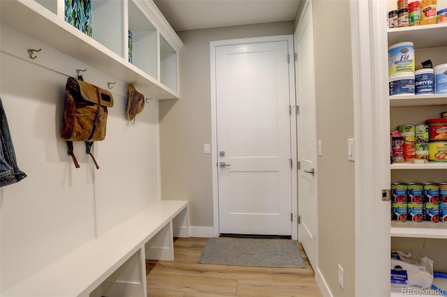 11142 Bright Sky St, Littleton, CO 80125 - mudroom with light wood-style flooring and baseboards