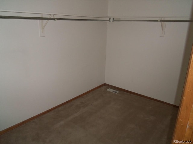12093 W Cross Dr Unit 308, Littleton, CO 80127 - walk in closet with carpet flooring
