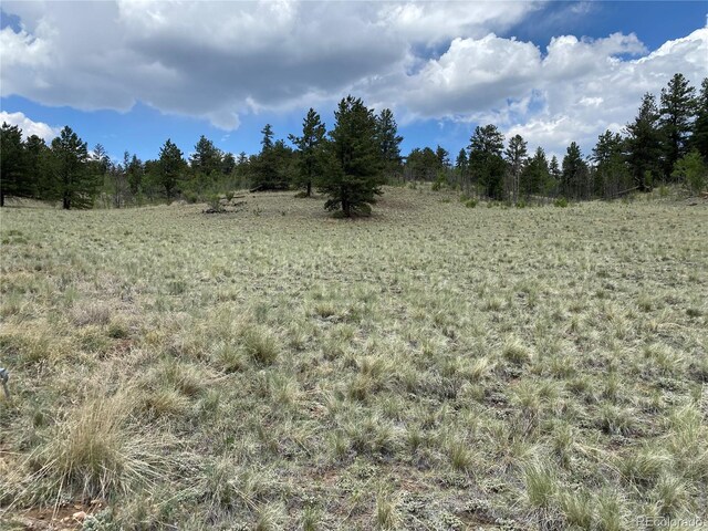 0TBD Al Gulch Rd, Jefferson, CO 80456 - photo 2