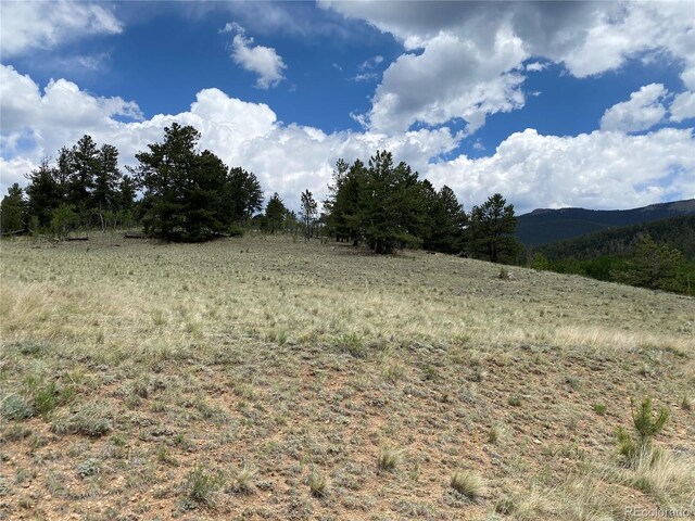 0TBD Al Gulch Rd, Jefferson, CO 80456 - photo 3
