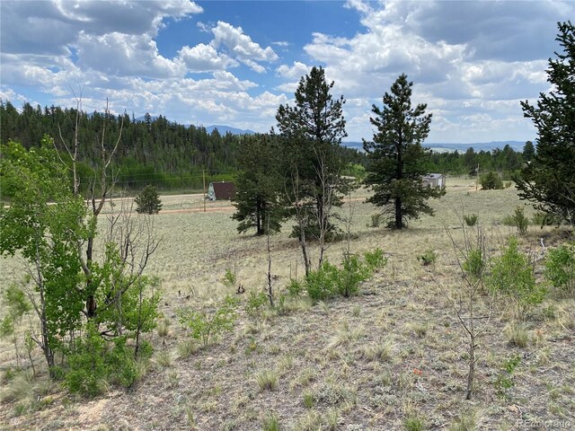 0TBD Al Gulch Rd, Jefferson, CO 80456 - photo 5