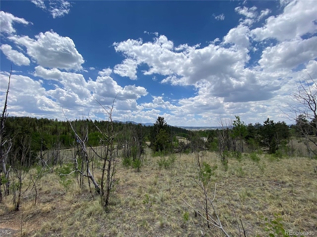 0TBD Al Gulch Rd, Jefferson, CO 80456 - photo 7