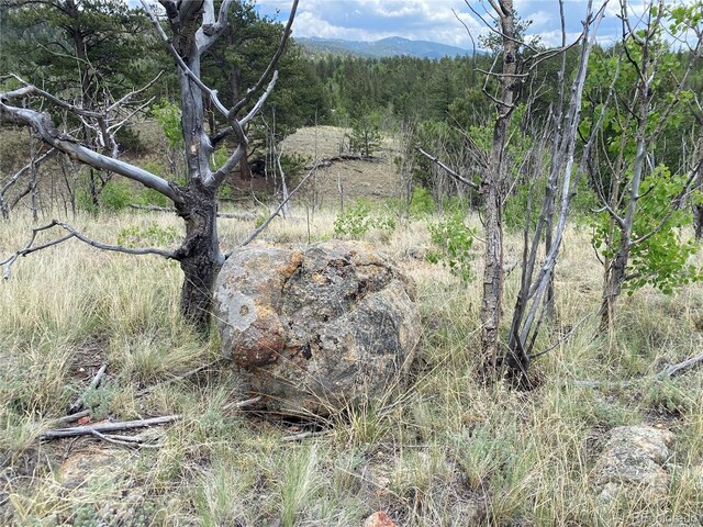 0TBD Al Gulch Rd, Jefferson, CO 80456 - photo 9