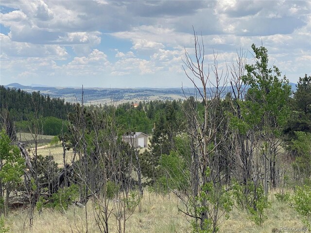 0TBD Al Gulch Rd, Jefferson, CO 80456 - photo 11