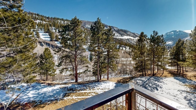 1300 N State Highway 149, Lake City, CO 81235 - mountain view