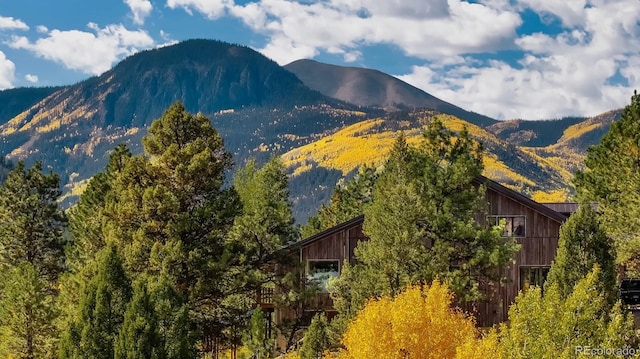 1300 N State Highway 149, Lake City, CO 81235 - mountain view