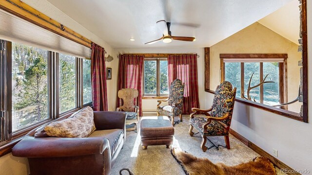 1300 N State Highway 149, Lake City, CO 81235 - living area with ceiling fan, carpet, vaulted ceiling, and a baseboard heating unit