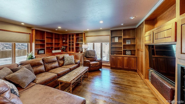 1300 N State Highway 149, Lake City, CO 81235 - living area featuring plenty of natural light, dark wood-style floors, and recessed lighting