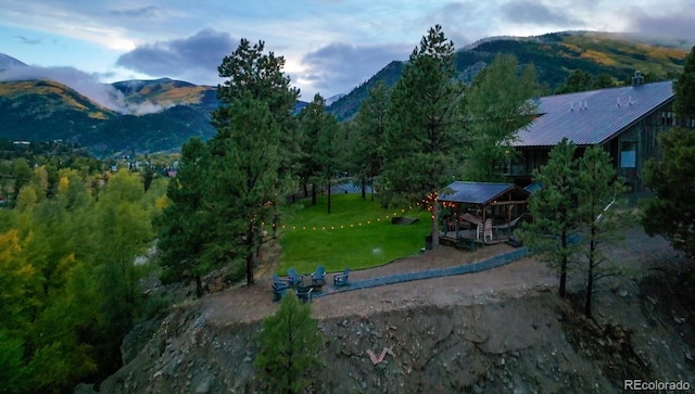 1300 N State Highway 149, Lake City, CO 81235 - mountain view