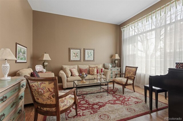 living area with wood finished floors