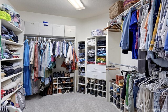 walk in closet featuring carpet