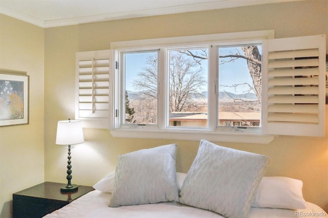 bedroom featuring ornamental molding