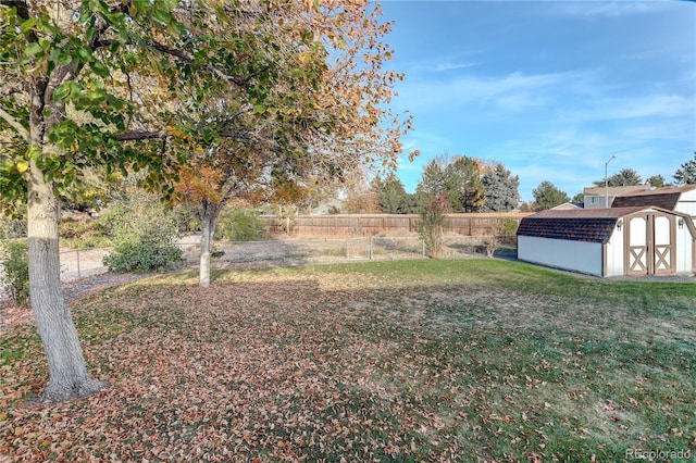 view of yard featuring a storage shed