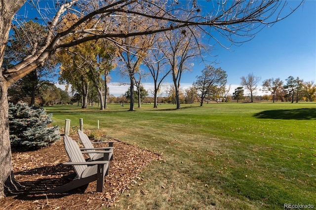 surrounding community featuring a lawn